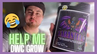 DWC Grow Episode #4 | Tarantula | I Need Your Guys Help!!!