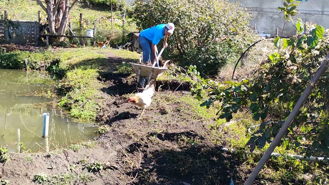 Como fazer pequenos lagos para criação de peixes e tilápias
