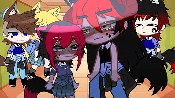 If I was in a all wolf/alpha school pt2 (becoues why not)