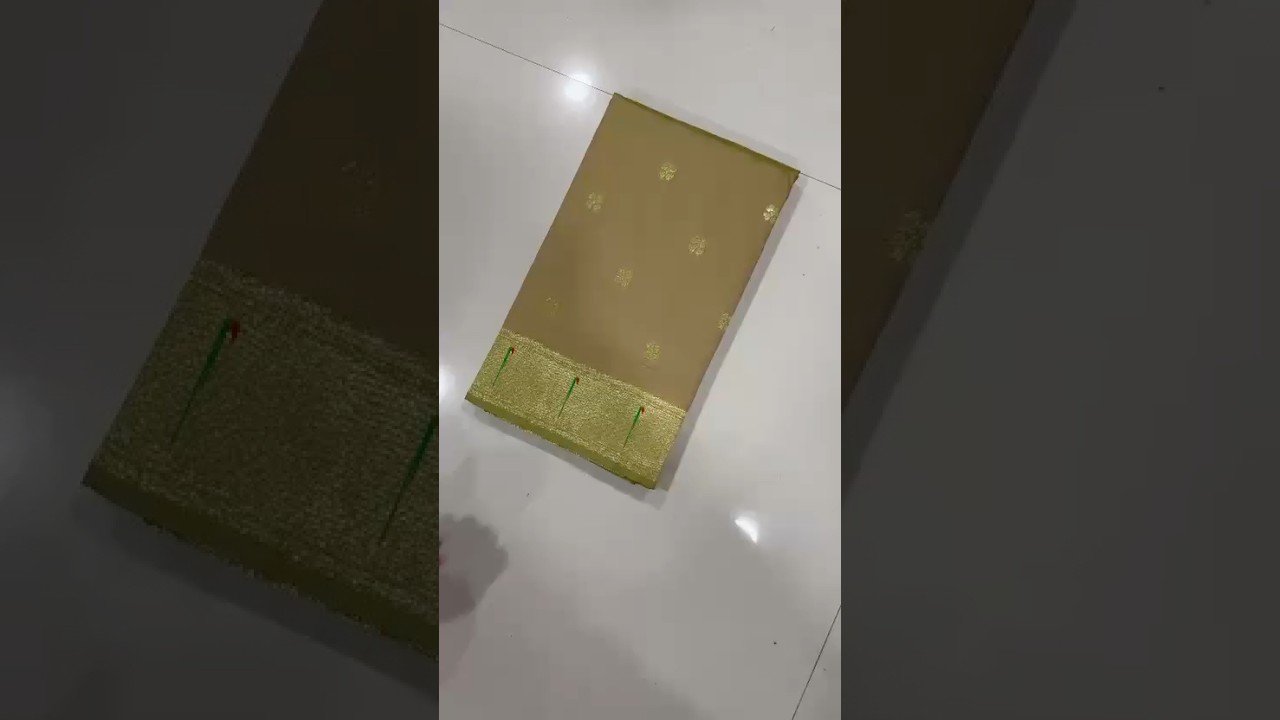Meenakari Paithani Muniya Border Saree