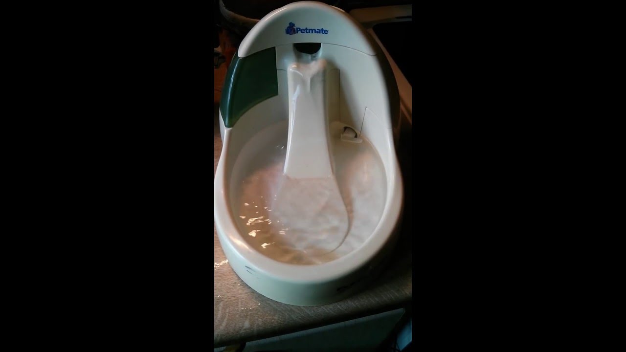PetMate Cat/Dog Fresh Flow Water Fountain YouTube