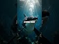 Orca's Coastal Covenant