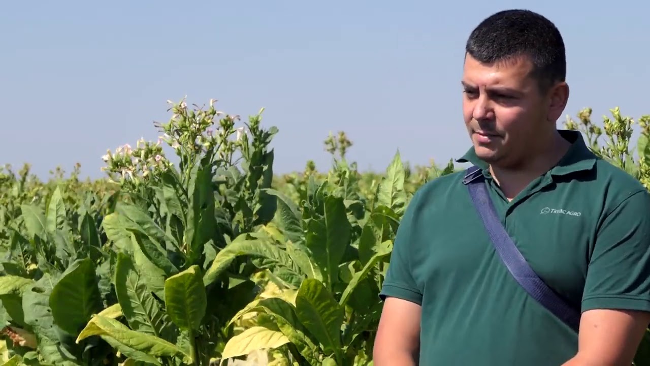 Biram selo 23.09.2020. Duvan, selo Pločica, Nikola Stolić