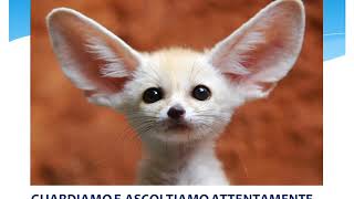 'Comportamenti e regole' classe prima Scuola Primaria