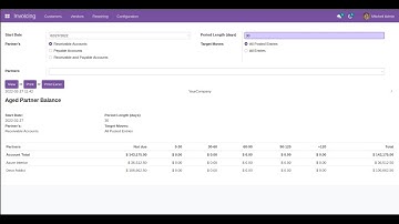 Enhanced Accounting Financial Reports Odoo15 || Odoo 15 Accounting