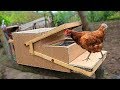 Automatic Chicken Feeder (Homemade)