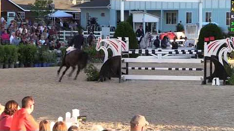 Video of ALL IN ridden by KATHERINE STRAUSS from S...