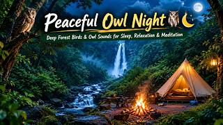 Peaceful Owl Night 🦉🌙 | Deep Forest Birds & Owl Sounds for Sleep, Relaxation & Meditation screenshot 2