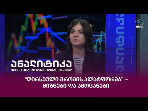 \"ღირსეული შრომის პლატფორმა” – მიზნები და ამოცანები