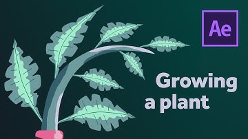Growing plant animation and creation | After Effects Tutorial