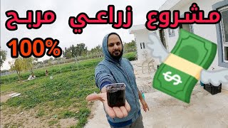 مشروع مربح  بـ اقل من 10$ / مشروع الـ 100 شتله