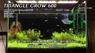 TRIANGLE GROW 600 と フラットLED 600 で比較