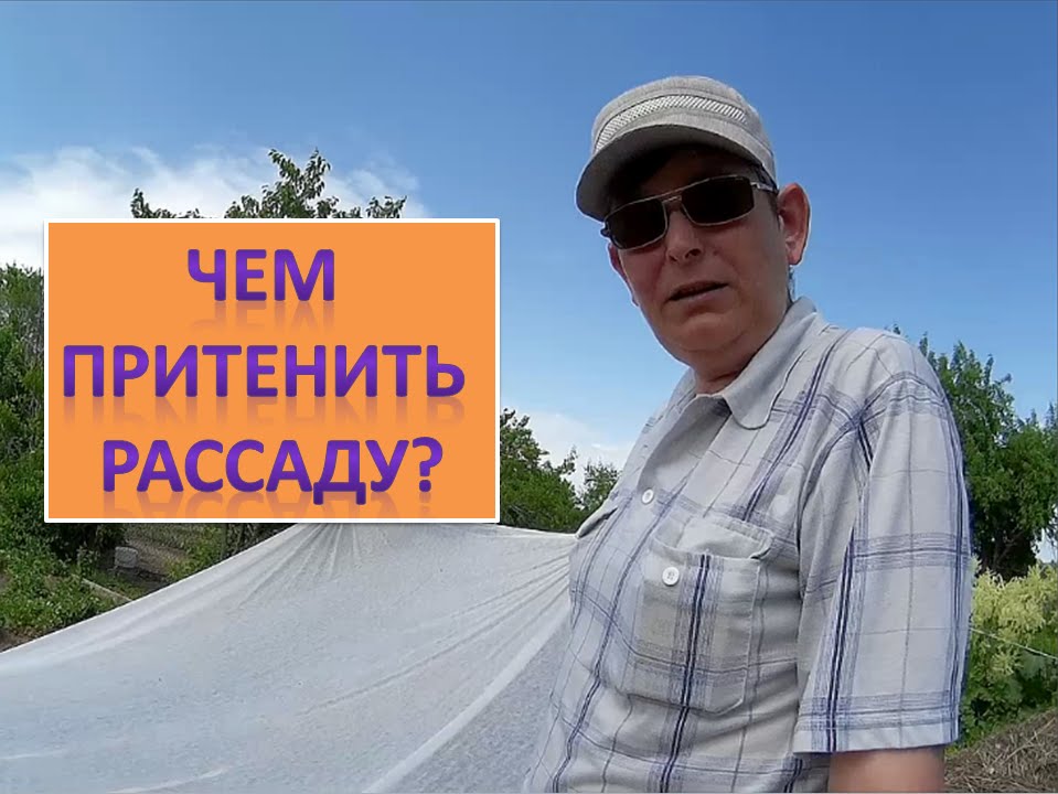 Чем притенить рассаду