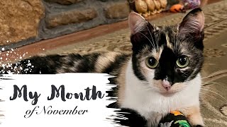 My Month of November | 2025