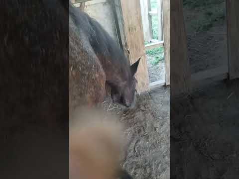 Read the description before commenting - YouTube