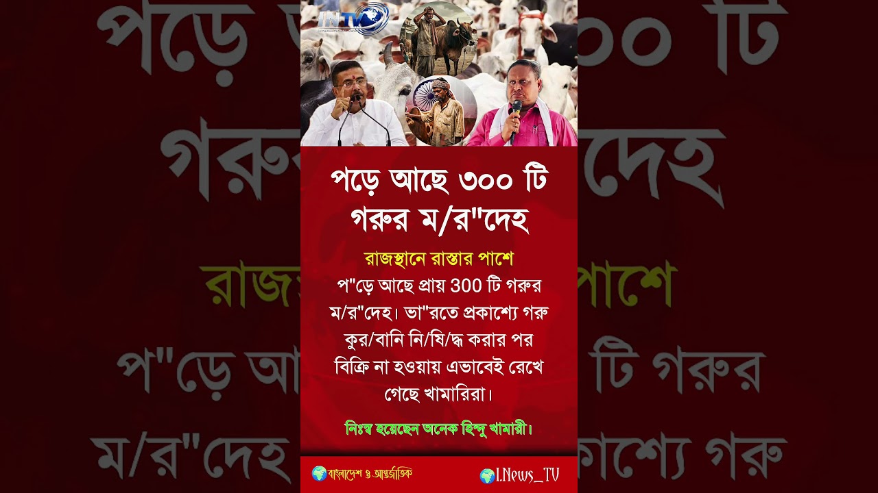 ৩০০টি গরু ম/ রে আছে😱,[motivation] #short #banglamotivation #reallifemotivation #relationshipadvice
