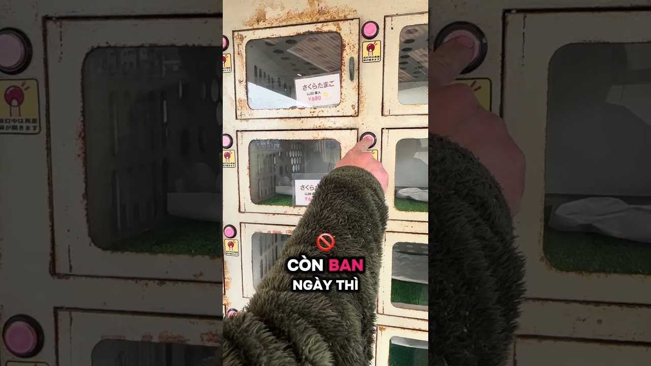 Máy bán trứng tự động ở Nhật