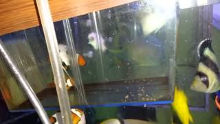 20140726_000106.mp4