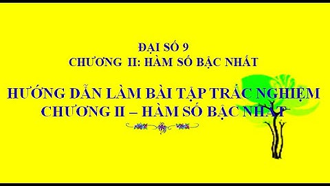 Bài tập trắc nghiệm chương 2 hàm số bậc nhất năm 2024