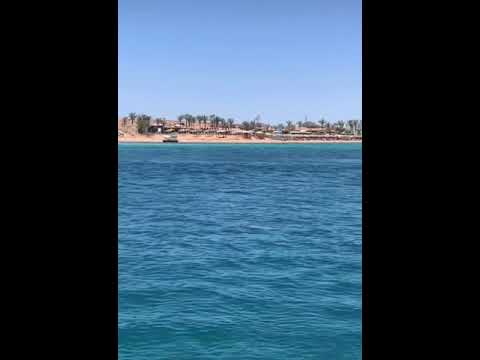 حالات واتس حوده بندق عايشه فيا الذكريات