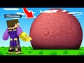 HOW To BUILD a THANOS NUKE in Minecraft (Insane Craft)