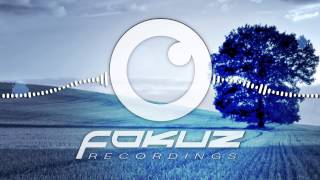 rowpieces new stage of life fokuz recordings