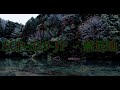 【ゆっくりSCP紹介】 SCP-529-JP - 禁足地