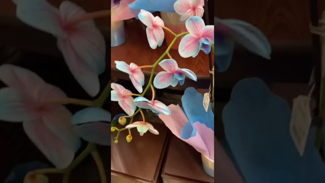 Blue Pink Orchids #