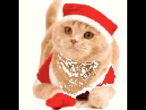Милий кот - YouTube