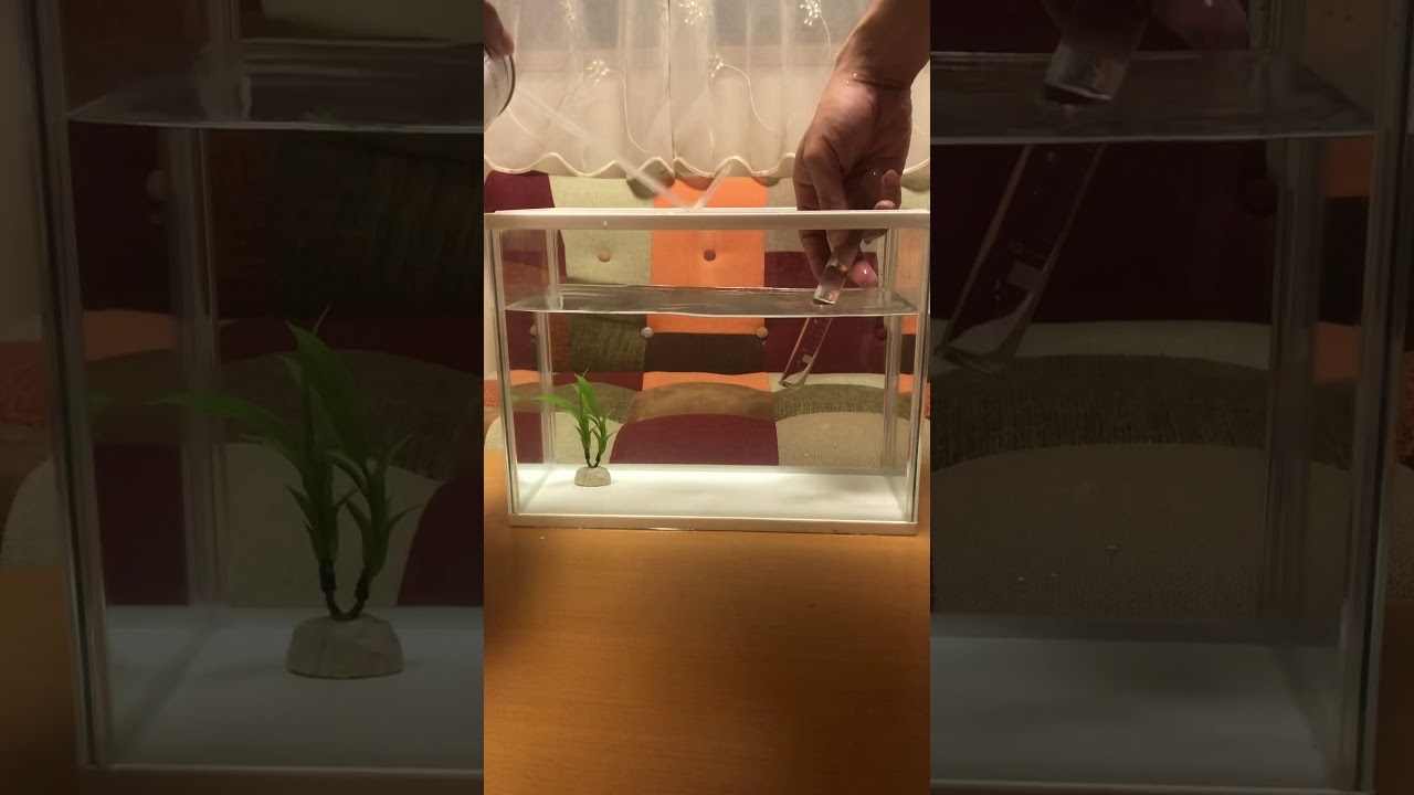 水素の水上置換法 Youtube