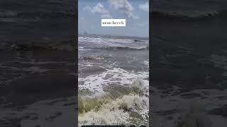 #raigad #uran#beech#