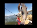 Kayak Fishing Marshall Hall 2013