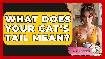 What Does Your Cat