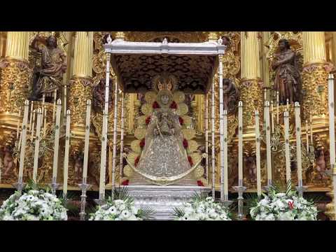 Las amapolas susurran poemas en los caminos