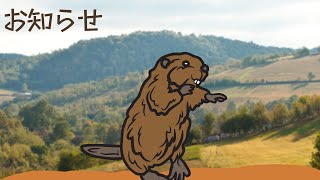 おしらせまる / Astel Leda