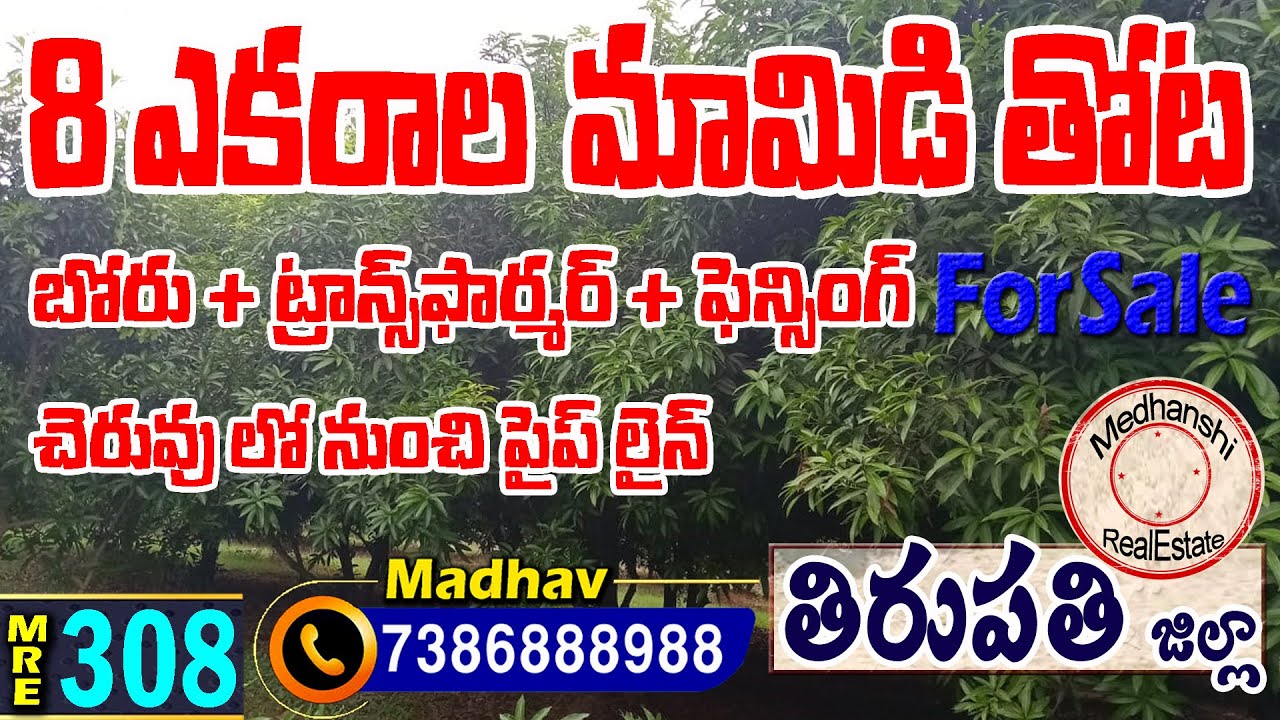 8 Acres Mango Farm Land For Sale Tirupati District 7386888988