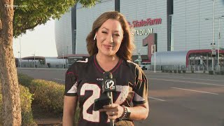What fans need to know before heading to State Farm Stadium for Cardinals games