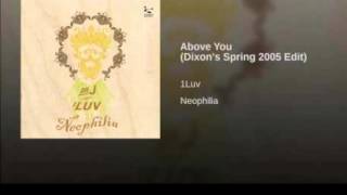 Miniatura del video "1 Luv - Above You (Dixon Spring 2005 Edit)"