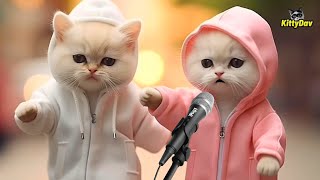RAHMATUN LIL'ALAMEEN VERSI DJ KUCING SHOLAWAT WARNA WARNI GEMOY PART 2 KittyDav