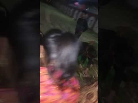 Yongchak kheatpa hanbi tanab