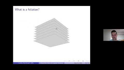 Lachlan MacDonald, Chern-Weil theory for singular foliations