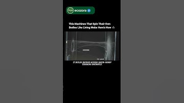 Spiderbot Revolution: Machines That Weave Themselves 🕷️😱 #Robotics #AI #Innovation #technology