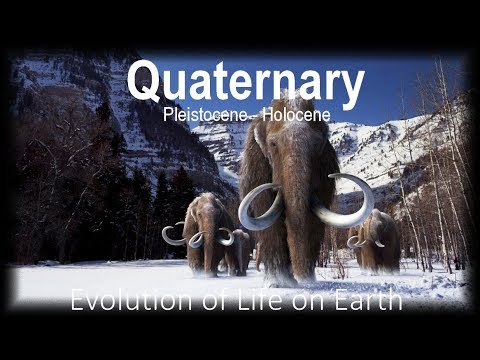 The Evolution of Life part 13 : Quaternary