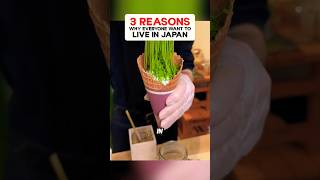 Celebrity Smart thing that only exist in Japan 🇯🇵 Wealth