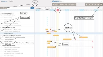 Odoo Gantt Native - Intro