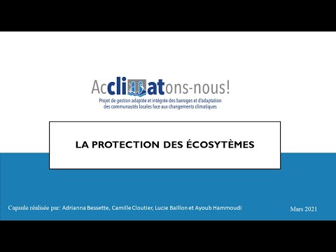 Vidéo: Comment les gens utilisent-ils actuellement les écosystèmes des lacs ?