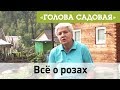 Голова садовая - Всё о розах