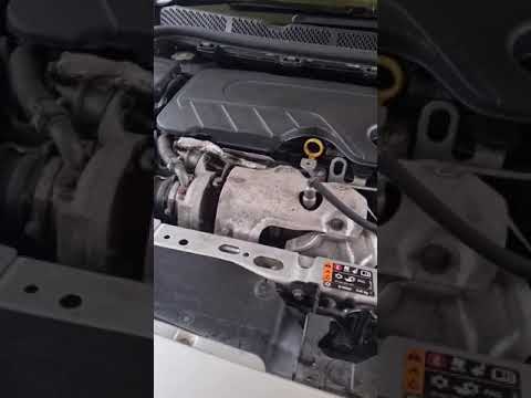 Ecotec Engine Rattle