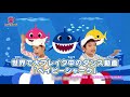 【世界で大ブレイク中!】ホビッチョ!「ベイビーシャーク」