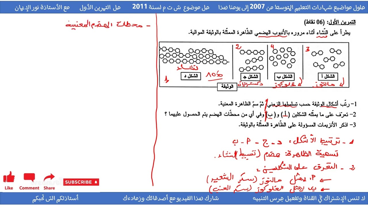 حل تمرين حول مراحل هضم النشاء علوم طبيعية سنة 04 متوسط